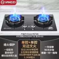 扬子燃煤气灶炉双灶家用天然气液化气猛火灶台式嵌入式 荷叶涂层5.2kW双文火_天然气