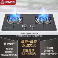 扬子燃煤气灶炉双灶家用天然气液化气猛火灶台式嵌入式 钢化玻璃4.8kW双文火铜火盖_天然气