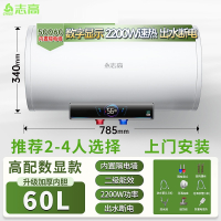 志高(CHIGO)上门电热水器家用卫生间洗澡50升储水式小型 60升出水断电2-4人上门
