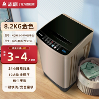 志高(CHIGO)810公斤洗衣机家用自动小型大容量宿舍波轮租房用洗烘一体 金色8.2蓝光强智能风干