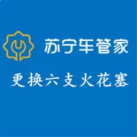 苏宁车管家 更换六支火花塞工时费