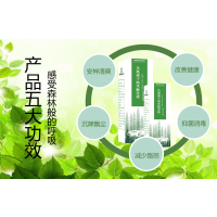 苏宁车管家 自助营造移动森林氧吧(清除异味及有害气体、提神醒脑安全驾驶)