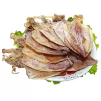 发烧烤鱿鱼北海特产A4鱿鱼干250*2包