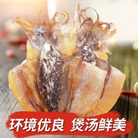 发北海墨鱼 淡干小墨鱼干 半斤9-12个左右 250g