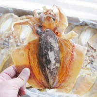 北海墨鱼 淡干中小号墨鱼干目鱼 1斤20个左右