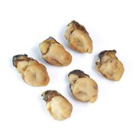 野生海蛎干中小号生蚝干水产海鲜海产品特产贝类壳货牡蛎干250g