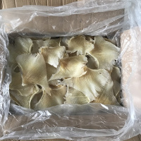 鱼臻多 浦鱼鳍 天狗翅 海狗翅北海海味干货特产500克