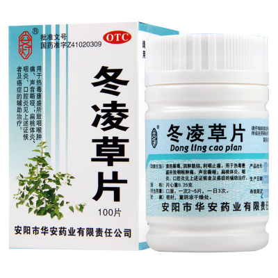 冬凌草片100片/盒清热解毒利咽止痛喉咙肿痛扁桃体炎咽炎