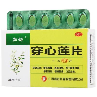 加劲 穿心莲片 36片/盒 凉血消肿 感冒发热 咽喉肿痛 口舌生疮