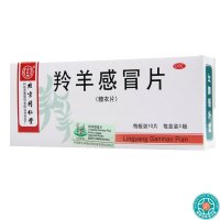 [5盒]同仁堂羚羊感冒片30片/盒*5盒清热解表流行性感冒头痛头晕咽喉肿痛