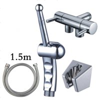 海澳德 喷头净身妇洗器肛冲洗器马桶喷枪妇女私处冲洗PP屁股阴道洁身器 套餐九(镀铬色)