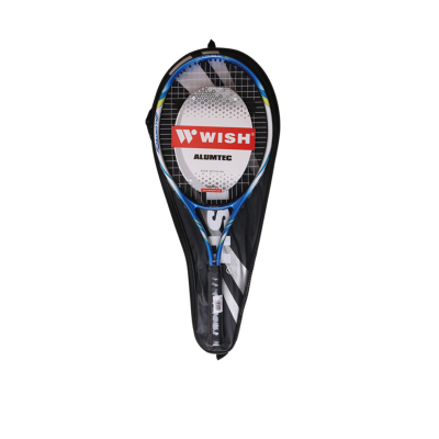 伟士WS-2510网球拍