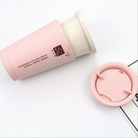 创意双层隔热小麦秸秆随手杯塑料家用男女水杯咖啡杯可爱情侣杯子