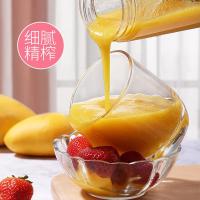 苏宁好货手持电动榨汁机小型便携式玻璃杯多功能家用打炸砸水果榨汁杯
