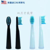 苏宁好货适配西铁城EHS520/EHS521电动牙刷替换头(6支装) 黑色西铁城(6支装)