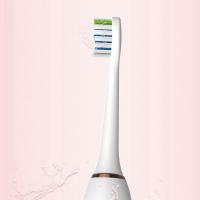 苏宁好货适用海尔电动牙刷DY12款CG-111款 海尔成人牙刷替换头 2支装 黑色2支装