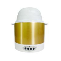 小型家用豆腐机 磨豆浆 做豆腐 豆腐脑 豆腐花 制甜酒酸奶 香槟金RL-13001