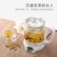 台湾养生壶加厚玻璃电煮茶壶全自动燕窝壶家用隔水炖盅燕窝机