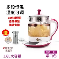 养生壶加厚玻璃煮茶调奶器全自动灵芝电热煎药分体保温 紫色（赠蛋架滤网）