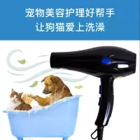 狗狗吹风机大小型犬宠物猫咪吹风机大功率家用吹狗毛专用拉毛神器