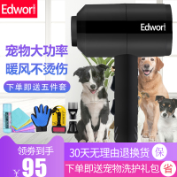 宠物吹风机狗狗专用小型犬风筒猫咪吹狗毛神器大功率泰迪电吹水机 宠物大功率-黑色
