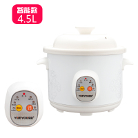 电炖锅养生煲汤锅陶瓷全自动电砂锅bb熬粥锅家用迷你宝宝煮粥神器 4.5L白瓷智能款(4-6人)
