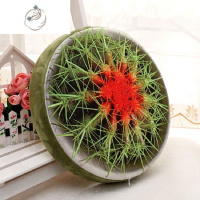 舒适主义水果西瓜坐垫地垫加厚可爱儿童幼儿园海绵垫地上办公室屁股垫子