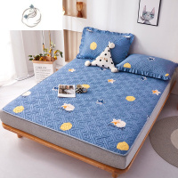 舒适主义定制加厚三件套100床单枕套榻榻米床盖炕罩床软护垫褥子