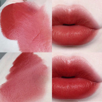 少女心无惧幻想透明唇釉防水不色唇彩显白口红液哑光雾面学生款 1997#奶茶山楂色