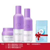 护肤品套装正品化妆品套装全套补水保湿学生护肤品水乳套装女 二：水+乳+霜+赠品