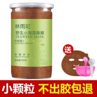泰国小颗粒海藻面膜天然纯补水保湿院控油收缩毛孔祛痘孕妇女 500克小颗粒+工具