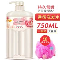 正品法国香氛沐浴露持久留香家庭装男女士控油去屑止痒洗发水套装 花香洗发水750ML