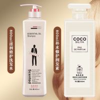 正品香水洗发水去屑留香洗头膏沐浴露柔顺护发素男女家庭套装 迪奥亚菲洗800m+润发素800ml