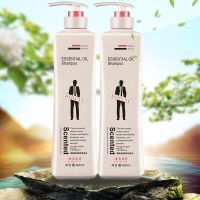 【800ML】小黑裙香水洗发水去屑止痒留香沐浴露护发素洗头膏套装 迪奥亚菲洗发水800ml*2瓶