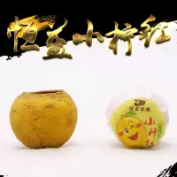 [古井恒益小柠红]云南滇红安岳柠檬冰红茶水果茶8颗100克礼盒装