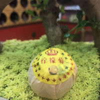 柠檬菊柠檬红茶小柠红菊花茶菊之檬金丝皇菊小青柑滇红茶罐装500g