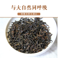 云南易武铜菁河红茶古树晒红野生蜜香滇红散茶盒装 行山源