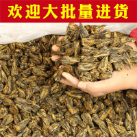云南滇红茶宝塔 高档功夫红茶500g批量卖金丝 蜜香红茶茶叶散装