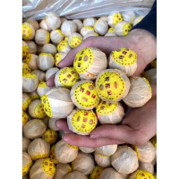 广东新会柠檬菊500g柑普茶 柠檬红茶送金丝皇菊花 古树滇红茶