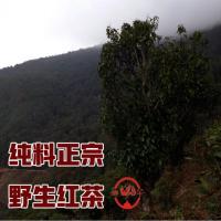 大臻娜罕云南真正原始正宗野生茶古树茶 2020古滇红茶珍稀 250克
