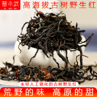 普小武 滇红茶2020古树春茶云南凤庆特级蜜香金芽浓香型野生红茶