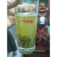 一叶信阳毛尖2020新茶,明前特级嫩芽毛尖绿茶散装自产自销250克