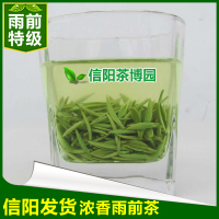 信阳茶博园信阳毛尖2020新茶雨前特级嫩芽浓香型茶叶绿茶春茶500g