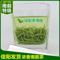 信阳茶博园信阳毛尖2020新茶雨前特级嫩芽浓香型茶叶绿茶春茶500g