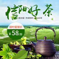 产地正宗信阳毛尖绿茶特产高山云雾纯手工野山茶农家自销250g散装