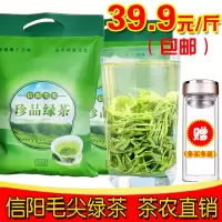 信阳毛尖2020新茶 雨前春茶叶 茶农自产自销高山炒青绿茶散装500g