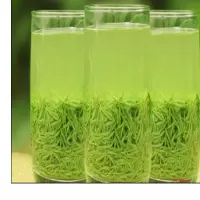 绿茶信阳毛尖2020年新茶叶嫩芽明前雨前特级散装自产自销500g