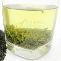 毛尖碎茶末2020新茶叶绿茶信阳毛尖茶馆大碗茶浓香耐泡茶叶末500g