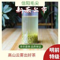 信阳毛尖绿茶特级高山明前小芽茶农自产自销