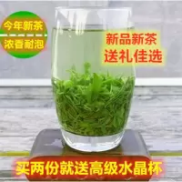 口粮绿茶2020新茶春茶信阳毛尖茶叶特级雨前浓香型绿茶叶散装250g